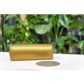 Suport de Mana pentru Manichiura Inalt, profesional Afinia P11 - Gold